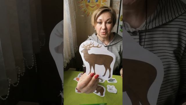 Занятие по развитию речи. Животные смотреть онлайн