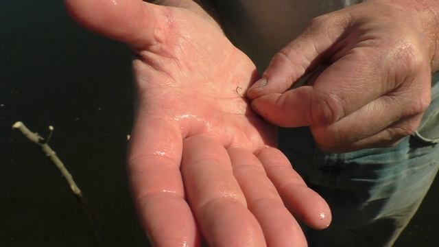 Рыбалка на одну удочку. Искровское водохранилище.Улов 5кг. смотреть онлайн