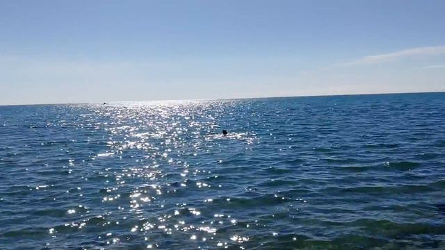 29 сентября. Закрытие сезона в Приморском. Крым, Чёрное море, Феодосия, завершение летнего сезона смотреть онлайн