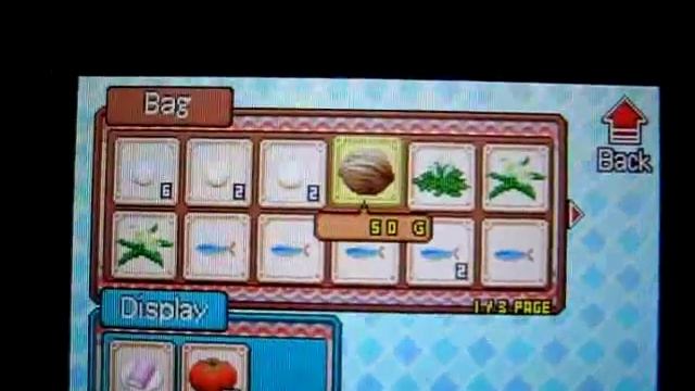 Harvest Moon Grand Bazaar смотреть онлайн