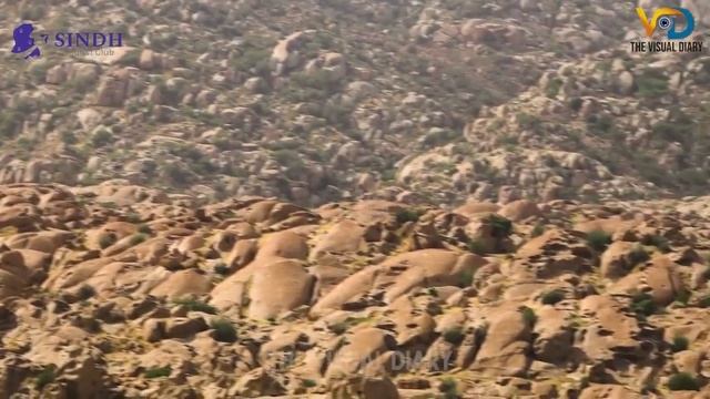 Mari Dhugar nahi waduu #sawekaroojar смотреть онлайн