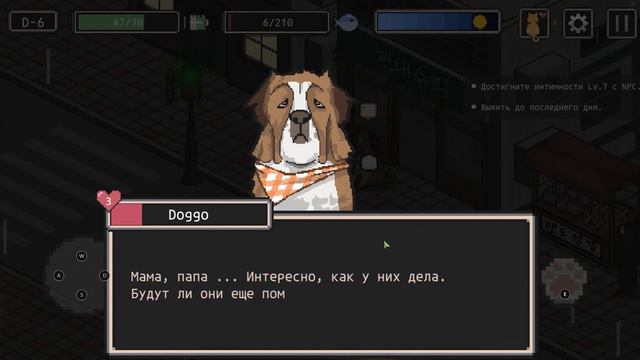 Street Cat. Я нашла друзей, я голодаю и хочу спать. Что мне делать ? смотреть онлайн