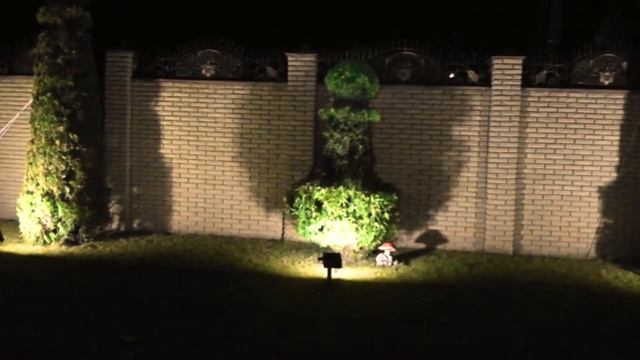 Шахматные фигуры из туй. Топиарная обрезка. смотреть онлайн