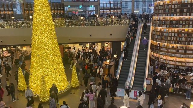 New year 2024 celebrations at Coex Mall South Korea. Starfield library in Gangnam Korea смотреть онлайн