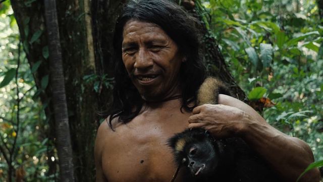 Territorio Waorani, en el corazón de Amazonas смотреть онлайн