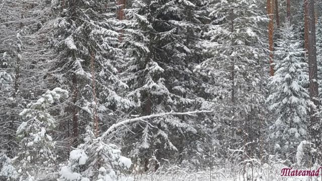 Предзимье. Ноябрь. смотреть онлайн