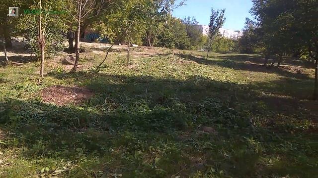 ТОЛОКА на ПРОТОКЕ смотреть онлайн