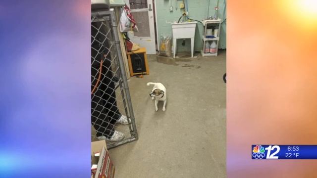 Homeward Bound 3-20-20 смотреть онлайн