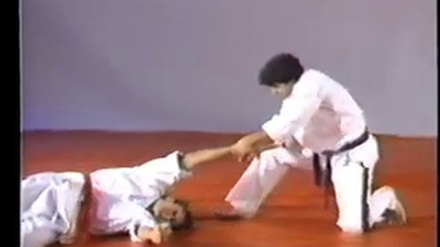 Iranian Martial Artist Fariborz Azhakh Demonstrating Kicks,Punches And Throws In Farsi