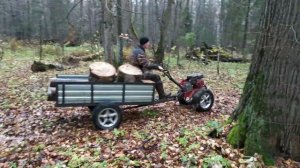 Мотоблок с телегой