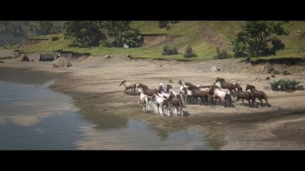Horses - Red Dead Redemption 2 - MORGAN horse herd