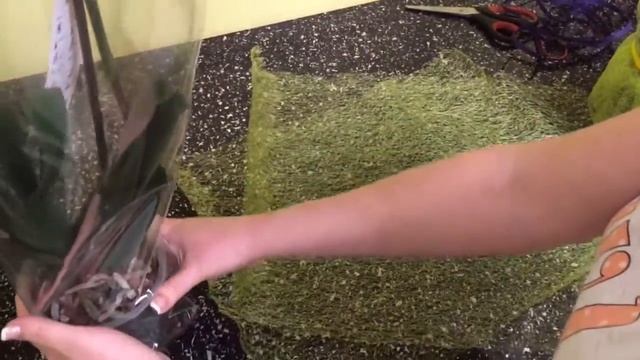 Орхидеи к празднику, оформление упаковки смотреть онлайн