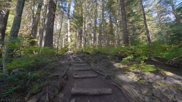 4K Virtual Forest Walk With Bird Singing And Forest Sounds - The Scenery Of Frankln Falls Trail, US