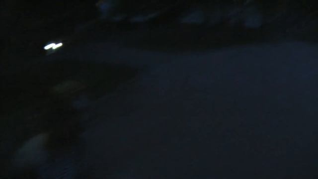 БОЛГАРИЯ: Озеро лотусов в Софии... Sofia Bulgaria смотреть онлайн