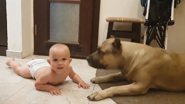 Никита и Эрик смотреть онлайн