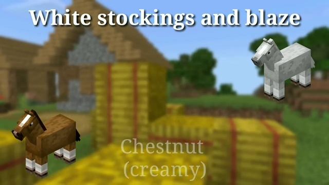 Every type of Minecraft horses 1.16 & 1.17 смотреть онлайн