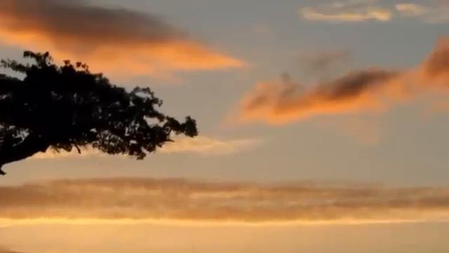 Mario Benedetti - No te rindas смотреть онлайн