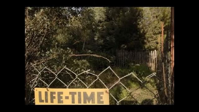 Zap Oracle Card #353 - Temporal Fencing and Life Fields - Zap Oracle Steamcast #13 смотреть онлайн