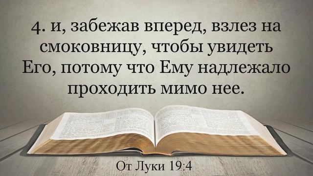 Лучшая Видео Библия. Чтение Евангелие от Луки. Главы 18-19. Синодальный перевод смотреть онлайн