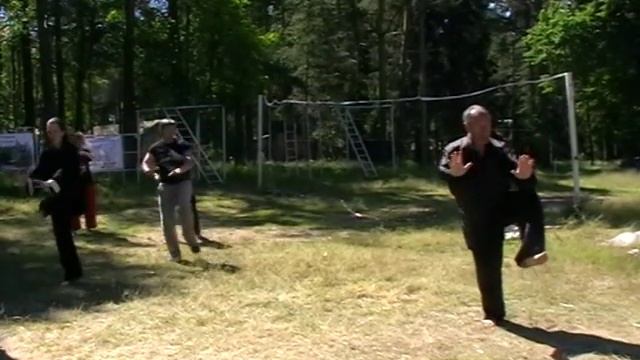 Мастер класс. Тайцзицюань стиля Чэнь. Шаг 8 формы. смотреть онлайн