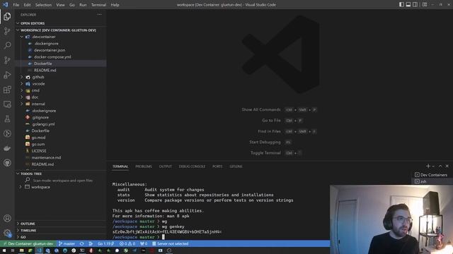 Gluetun setting up your dev environment смотреть онлайн