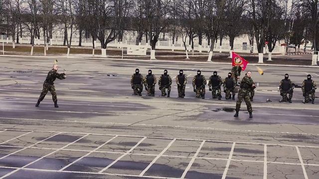 Показательные выступления 8 роты специального назначения в/ч 3214 по рукопашному бою смотреть онлайн