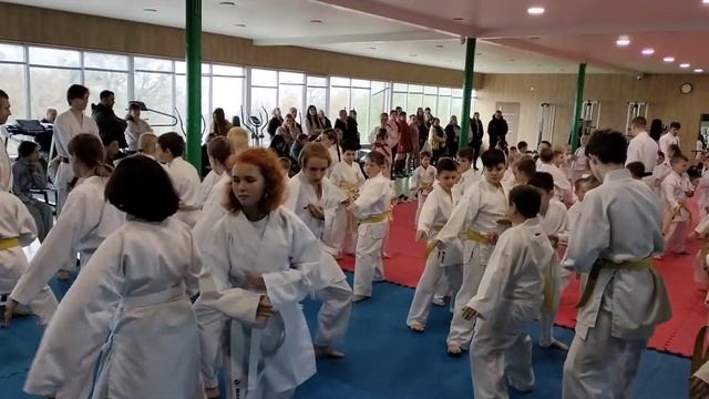VID20231022111635 смотреть онлайн