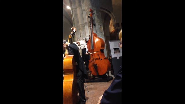 A. Dvorak - New World Symphony + Octobass смотреть онлайн