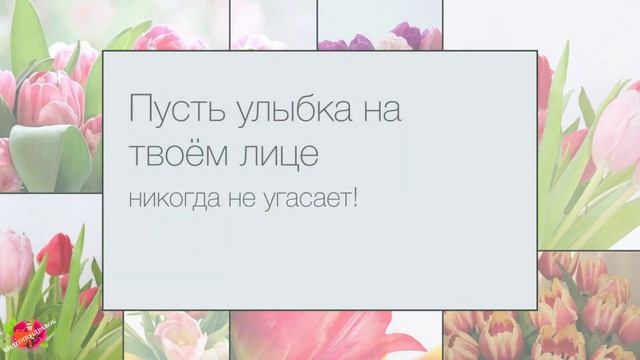 С Днём рождения, Изета! смотреть онлайн