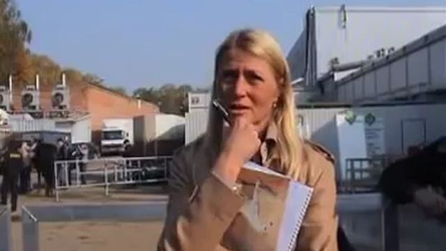 Оценка экстерьера арабской лошади смотреть онлайн