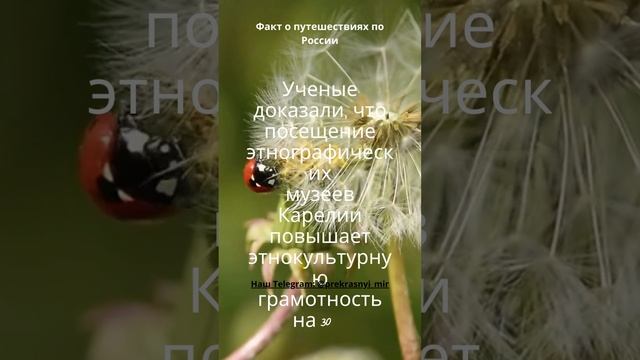 Факт о путешествиях по России смотреть онлайн