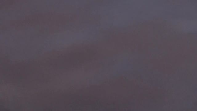 отдых на Оби с Харусем 08.06.2016 г. смотреть онлайн