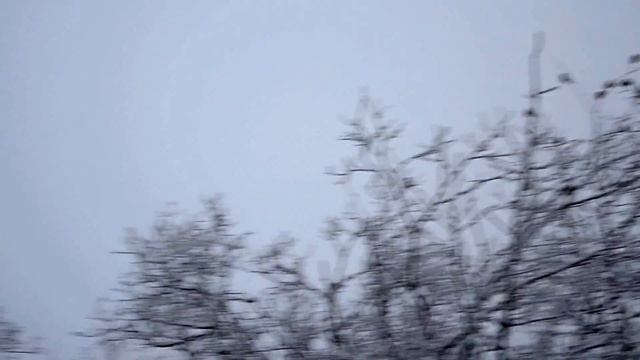 Никель атаковали свиристели... смотреть онлайн