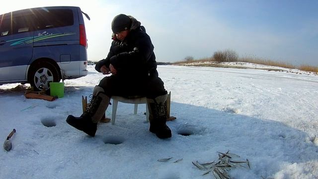 Рыбалка на самодур на реке Суйфун, ловля писуча на бородки в Приморье смотреть онлайн