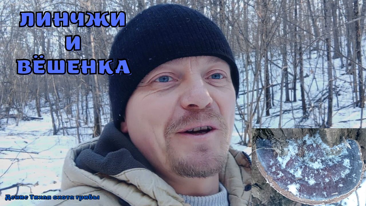 Гриб Линчжи и вёшенка в январе | ГРИБЫ 2023 | Пришла посылка из Василька смотреть онлайн