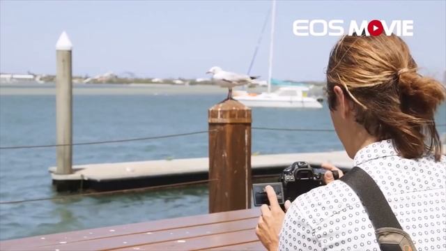 Canon 80D DSLR Camera Vari-Angle Touchscreen смотреть онлайн