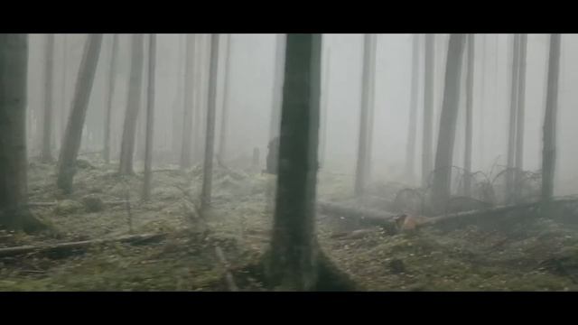 THE SONATA Official Trailer Teaser (2019) смотреть онлайн
