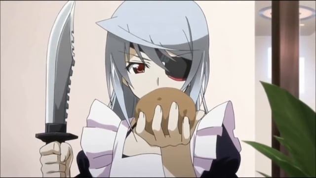 Infinite Stratos - Harem Cooking Contest смотреть онлайн