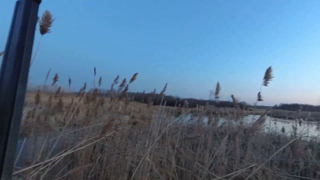 Открытие весна 2022 смотреть онлайн