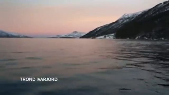Двое моряков лицом к лицу встретились с китами в норвежском фьорде (новости) смотреть онлайн