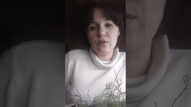 Никогда так не делайте с рассадой и черенками!
