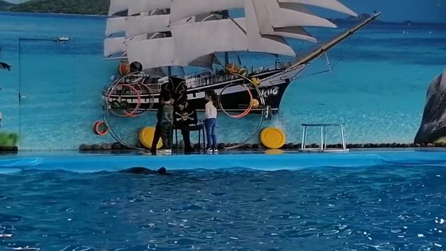 Димка в Зоопарке и дильфинарии в Минске смотреть онлайн