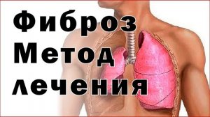 О «Ковчеге здоровья» и о себе - About the «Ark of Health» and about myself