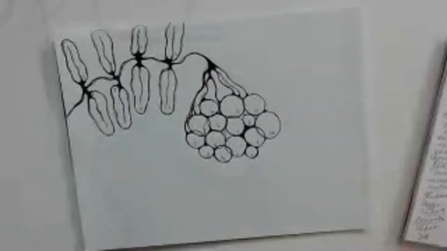 #нейроарт Практика #Благодарности и #желаний Осеннее #равноденствие #нейрографика смотреть онлайн