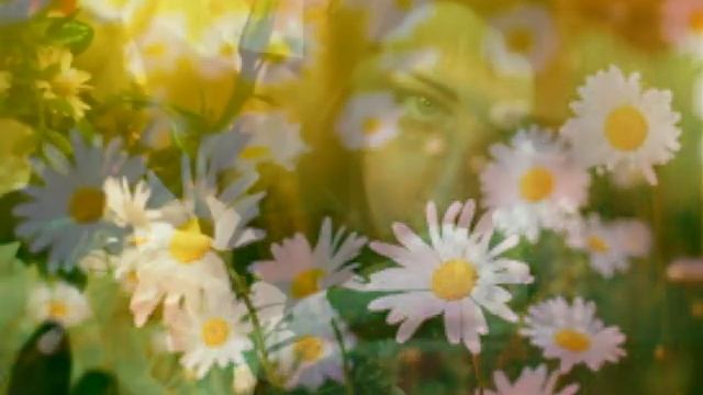 с Днем Рождения смотреть онлайн