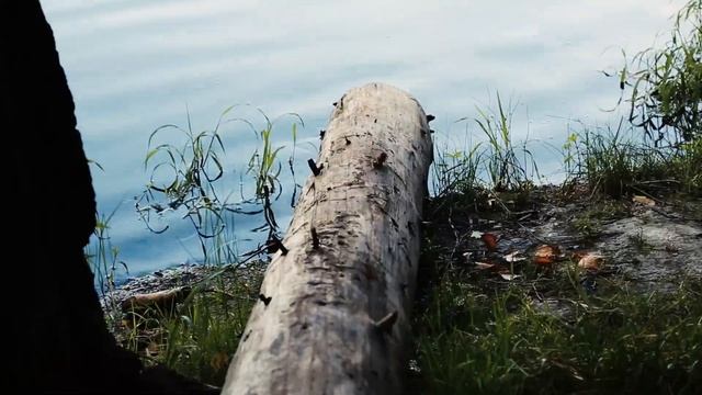 Озеро Лесное. Сергиев Посад смотреть онлайн