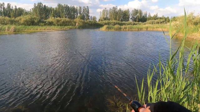 Мормышка работает. р. Ишим, г. Нурсултан возле канала Кызылсуат смотреть онлайн