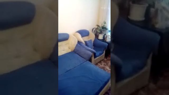 Диван синий смотреть онлайн