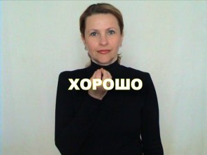 ЖЕСТОВЫЙ ЯЗЫК. СЛОВАРЬ. Хорошо