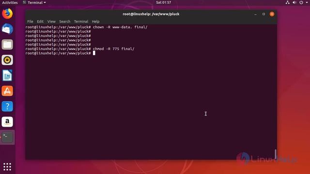 How to Install Pluck CMS on Ubuntu 18.10 смотреть онлайн